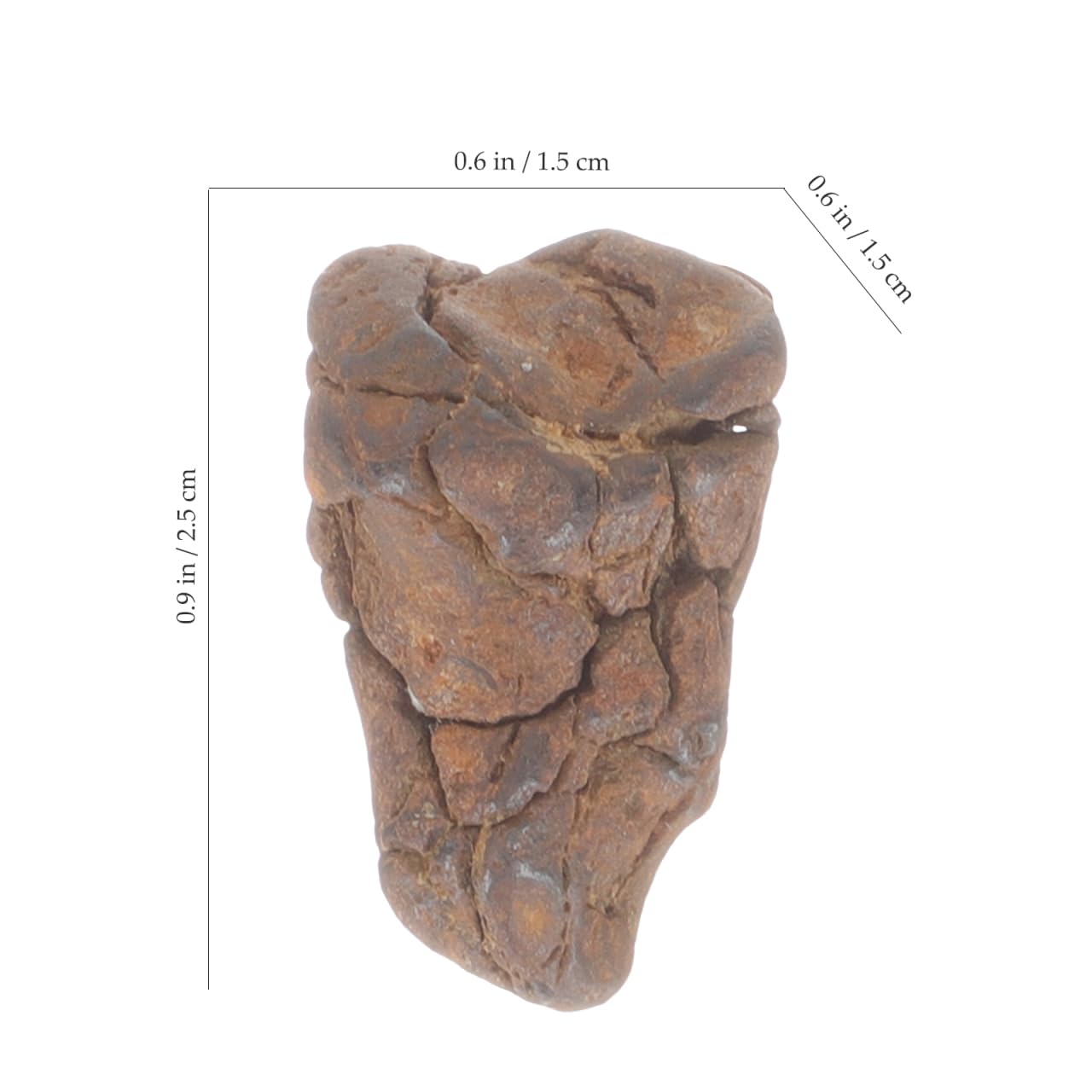 ABOOFAN Modelo De Meteorito Real 0.98X0.59X0.59In Muestra Científica Educativa para Oficina Aula Y Colección De Meteoritos para Niños