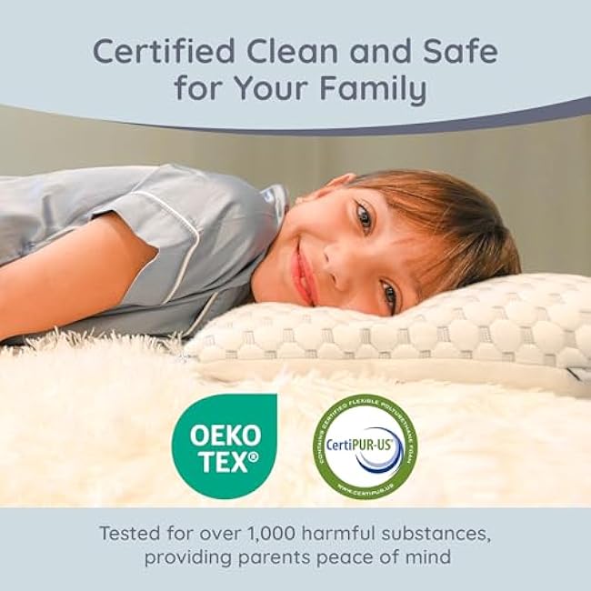 Lussi & Company Toddler Pillow 2 Year Old-13x19 Toddler Pillow - Pillow Protector-Toddler Pillows for Sleeping-Kids Pillow-Travel Pillows-Ergonomic Pillows for Kids-Patent Pending (White)