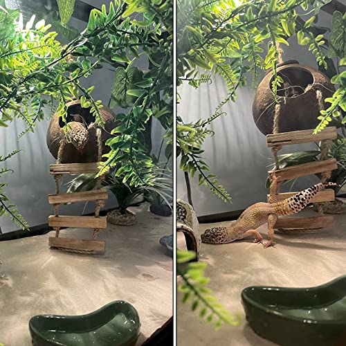 MUYG Lizard Coco Den with Ladder,Leopard Gecko Coconut Husk Hut Hideout