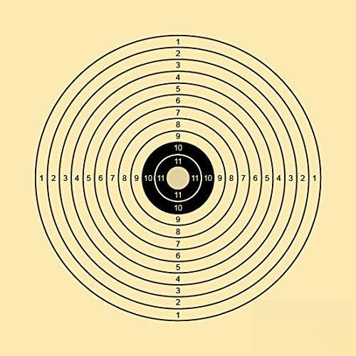 Cible de tir fusil à air comprimé pour s'entraîner au jardin au plomb