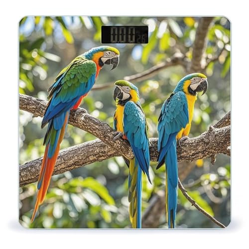 Báscula digital de baño con diseño Colorful Parrots miniatura 1