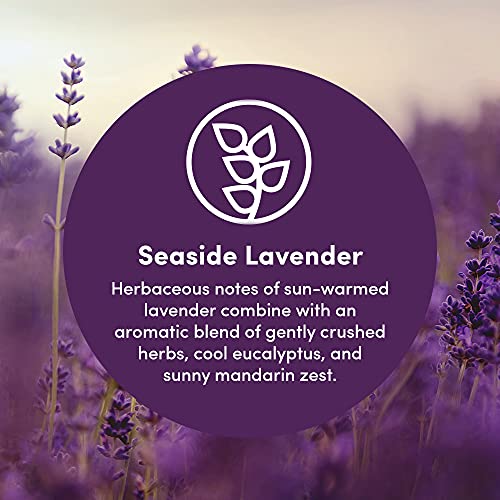 Image of Clean Revolution Multi Surface Cleaner Refill Supply, Non-Toxic, Eco-Friendly & Plant-Based, Ready to Use, Seaside Lavender, 128 Fl Oz (1 Gallon)