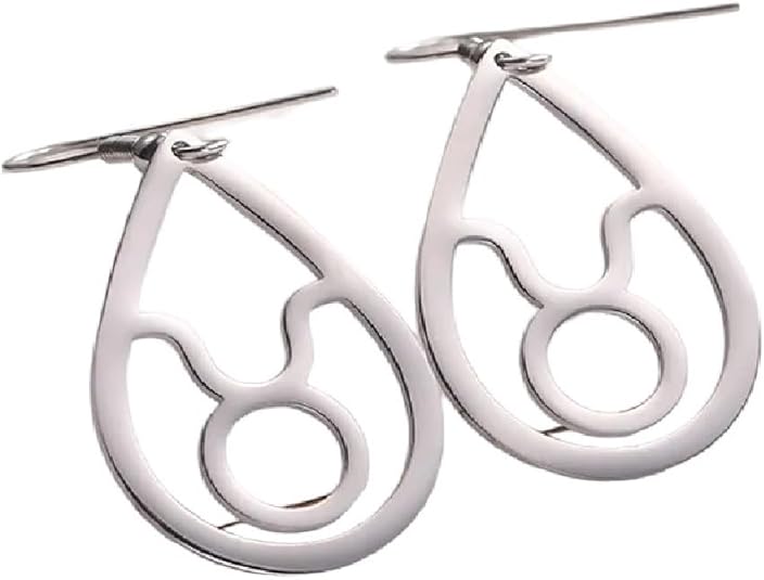New 2026 Unisex Zodiac Sign 12 Constellation Drop Earrings For Women Stainless Steel Aries Virgo Pendant Jewelry Birthday Decoration Luxury With You Accessories Trendy And Men