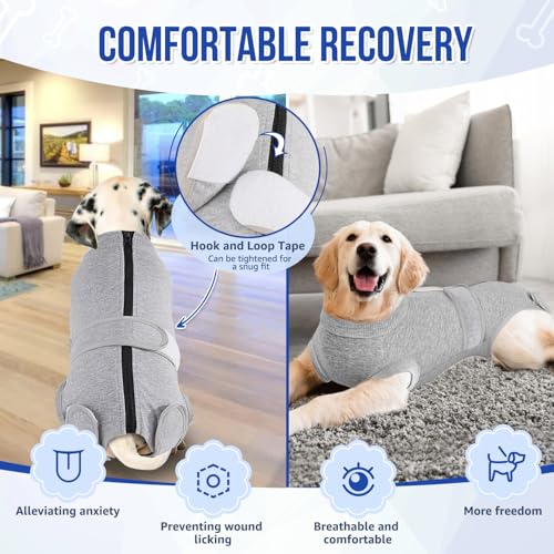 Image of SlowTon Dog Surgery Recovery Suit - Zipper On Dog Onesies After Surgery for Female Male Dogs, Abdominal Wounds Bandages Cone /E-Collar Alternative Dogs Surgical Body Suit (G, XS)