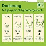 Ida Plus Darmbiotic Pulver – Probiotika zur Darmsanierung für den Hund + Präbiotika - Darmflora aufbauen nach Durchfall - gesunde aktive Darmbakterien – Immunsystem – Regulierung Verdauung – 180g