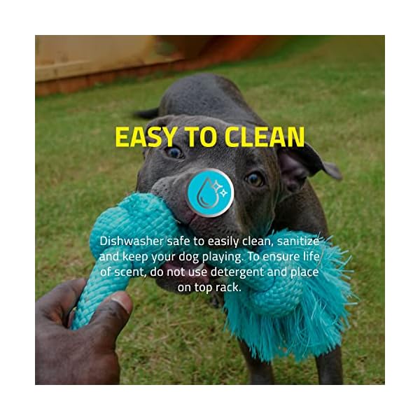 Non Toxic Dog Chew Joy
