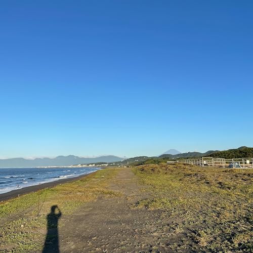 『思考を言語化することのメリット』のカバーアート