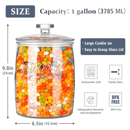 La Mejor Selección de Botes para galletas comprados en linea. 2 Imagen adicional