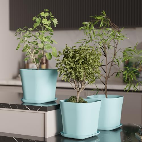 Image of StyleX Store Pack of 3 Square Plastic Flower Pot with Tray | Modern Indoor Outdoor Planter for Home Balcony Garden Office | Durable Lightweight Planter Pot | 6 Inch, Blue
