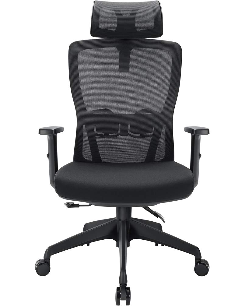 Buy Tribesigns Ergonomic Office Chair Mesh Chair,Lumbar Support, Tilt