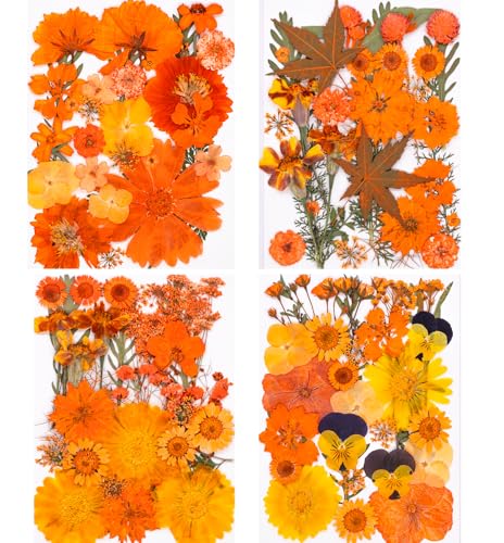 Kit de flores prensadas secas para manualidades miniatura 1