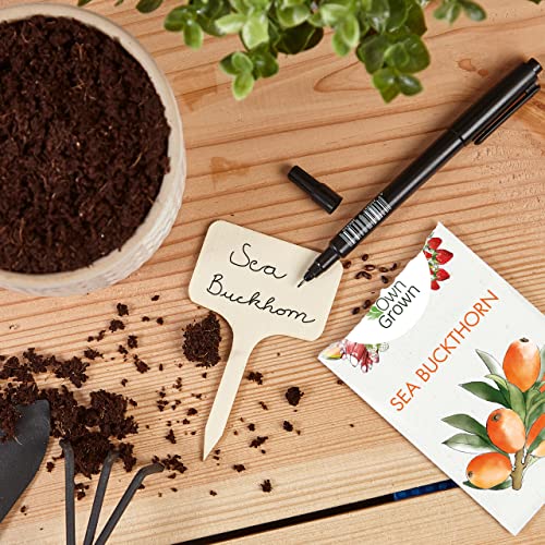 Owngrown VK-OWN-00476 Wooden Plant Tags - 60 Plant Labels And Marker Pen thumb #6