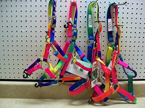 Valhoma Colorful Rainbow COLT/Mini/Pony 200-300 lbs Nylon Halter Brass Hardware
