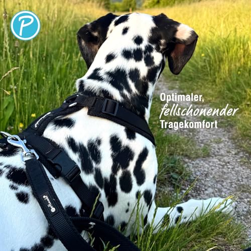 Petlando Hundegeschirr gepolstert, Mesh Y-Comfort, weich, stufenlos verstellbar, besonders leicht & atmungsaktiv, fellschonend, ergonomisch, Brustgeschirr für mittelgroße Hunde, Schwarz, M