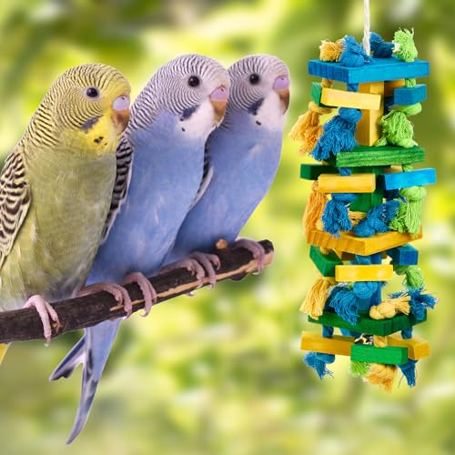 Image of Seenelling 3 Pcs Extra Large Bird Toys for Parrots, Blue Block