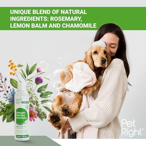 Pet Right Derma Care Hundeshampoo Allergen Therapie mit Pflanzenextrakten für Hunde und Katzen, Lindert Juckreiz und Gerüche, Sensitiv Formula 250 ml