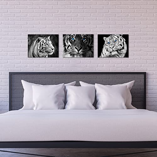 Tiuauit 3 Pieces Blue Eyed Tiger Wall Art Black And White Animal Picture Prints Gallery Wrap Modern Home Art Ready To Hang 12"X16"X3Pcs #TOP2