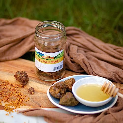 Propolis von ImkerPur, 100g, antibakteriell, rückstandsfrei, direkt vom Bienenstand (Propolis roh (in Stücken))
