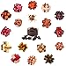 18 Pack Wooden Brain Teaser Puzzles Wooden Burr Puzzles Brain Teaser Puzzle with Gift Packing Box Magic Puzzle Games Toys for Kids and Adults by AHYUAN (Classical Wood)