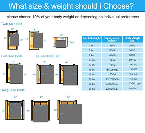 image for HYPNOSER Weighted Blanket for Kids, Pets (5 lbs, 36