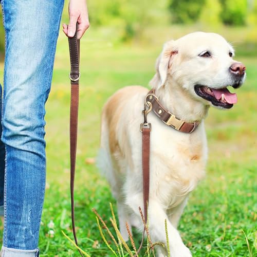 Didog Weiches gepolstertes Lederhalsband für große Hunde, klassisches Hundehalsband mit Metall-Schnellverschluss, verstellbar, großformatig, Kunstleder, Braun, L