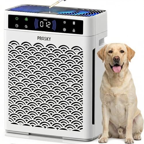 Air Purifiers for Home Large Room up to 3000sq.ft, PRASKY HEPA Air Purifier & with Activated Carbon for Office, Bedroom, Dorm Room, Kitchen