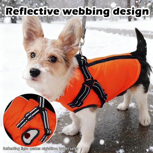 Hundemantel Winter mit Geschirr Einstellbar, ZoneYan Wasserdicht & Warm Hundemantel für Kleine Hunde, Reflektierende Winterjacke, Winddicht Weste für Hund (Orange, XS)
