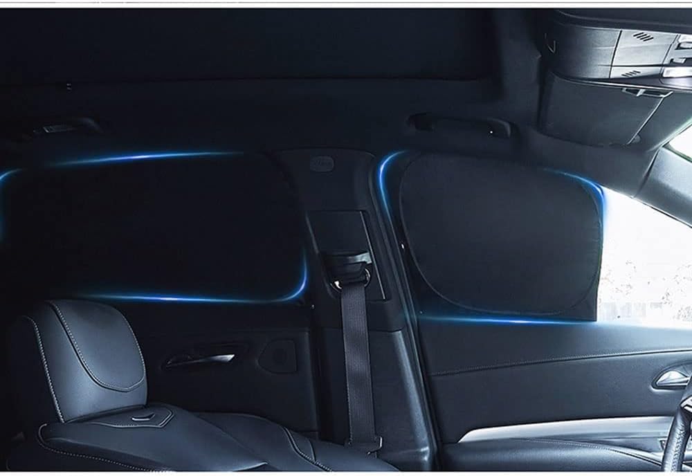 BARIQ Parasol de Coche para BMW 5 Series E39 1995-2002, Plegable Protección Solar Protección UV Proteger Sol Bebés y Mascotas,A/8Pcs