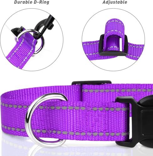 Collar reflectante ajustable de nylon para perros miniatura 3