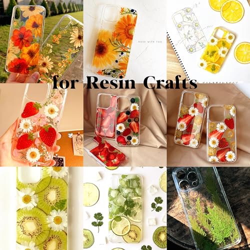 Kit de 48 flores prensadas secas naturales para manualidades miniatura 4