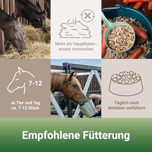 PANTO Leckerli Mix für Pferde Apfel & Karotte 3,2 kg – leckere Belohnung für Pferde und Ponys in Pelletform, Zwei Sorten Pferdeleckerlis, Pferdefutter Ergänzung