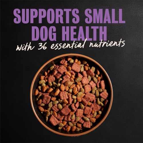 Cesar Small Breed Dry Dog Food, Filet Mignon & Spring Vegetable, 5 lb - image 3