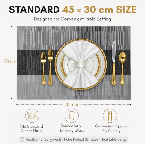 Image of Solitude Set of 6 Dining Table Placemats | Non-Slip PVC Table Mats, Heat Resistant, Washable, Stain-Resistant Surface, (Silver & Black, 45 x 30 cm)