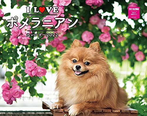 カレンダー2022壁掛け I LOVE ポメラニアンカレンダー 2022