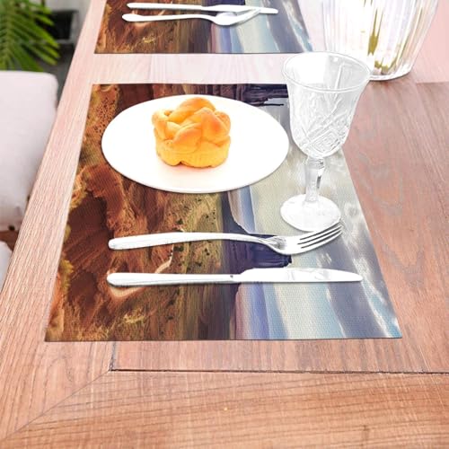Sets de table extérieur et intérieur pour repas d'été en PVC - 7