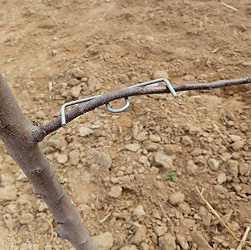 Esparcidor De Ramas Para árboles Frutales - Herramienta De Alambre De Acero Inoxidable, Pack De 20 Unidades | Ideal Para Jardín, Huerto Y Control De Crecimiento