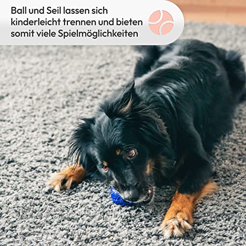 PETBEE Seilspielzeug für Hunde | Ball mit Seil | Futterball für Hunde | Seil ca. 30 cm Länge | Ball Durchmesser ca. 6,5 cm | Hundeball zur Unterstützung der Zahnpflege