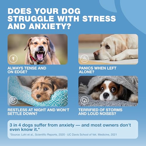 Image of Hemp Calming Chews for Dogs Anxiety - Dog Calming Treats with Melatonin, Valerian Root, Chamomile Extract & Vitamin B Complex - Canine Chews for Vet Visits, Grooming, Travel, Thunderstorms, Fireworks