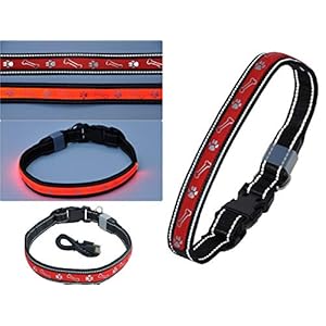 nanook LED hondenhalsband lichtgevende halsband voor honden – rood – reflecterend – oplichtend – 3 modi – USB oplaadbaar incl. kabel – maat M (37-53 cm x 2,5 cm)