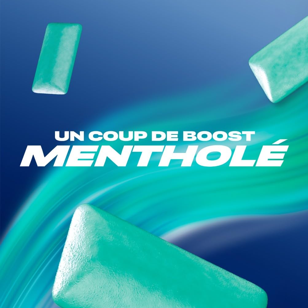 AIRWAVES Chewing Gum Sans Sucre Goût Menthol Eucalyptus Longue Durée 5 Paquets 10 Dragées 70g