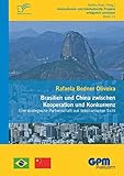  Brasilien und China zwischen Kooperation und Konkurrenz – Eine strategische Partnerschaft aus brasilianischer Sicht