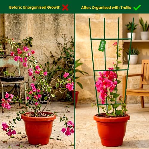 Image of Urban Plant Greenweave Trellis for Climbing Plants (24 Inch) | Metal Plant Support for Money Plant, Ivy, Creepers & Vines | Powder Coated Weather Resistant Plant Climber Support (Green Pack of 6)