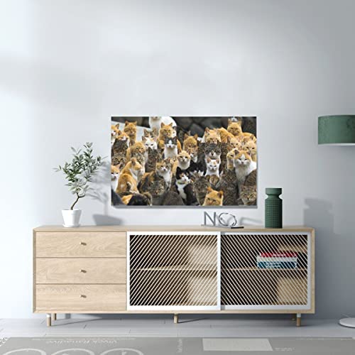 Tableau Japon Ile Chat Mignon Chats Roux Umashima Décoration Murale Douce