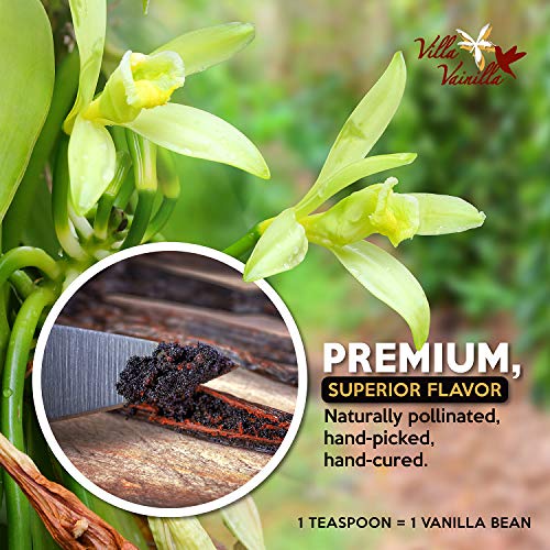Villa Vainilla Pure Mexican Vanilla Beans (15 whole vanilla beans) - Thumbnail 4