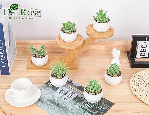 Der-Rose-6-Pack-Fake-Plants-Small-Realistic-Succulents-Plants-Artificial-for-Home-Room-Decor-Indoor