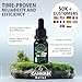 Cannabi Relief Oil 3300mg |Anxіety, Pain, Stress, Sleep, Calm, Focus, Immune | Humans & Dogs Maximum Strength Calming Drops | Omega 3-6-9 | Netherlands Extract, Legendary Hemp for Adults and Dogs