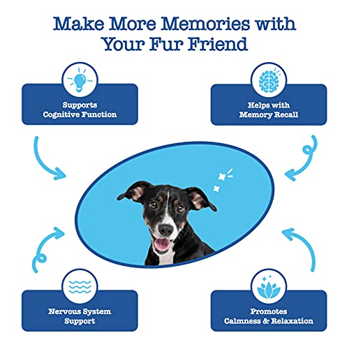 Zesty Paws Advanced Cognition Soft Chews For Dogs - With Omega 3 Dha, Ashwagandha & Alpha Gpc - For Senior Dog Brain Health & Nervous System Support - Supplement For Calming & Relaxation - 90 Count #TOP1