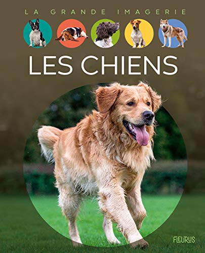 cadeau chiens