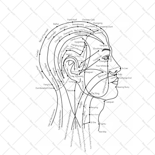 Beecarolx BC-MC-003 Wooden Scalp Massager Comb - Natural Sandalwood Wide Tooth Gua Sha Comb - Manual Head Scalp Massage Tool For Eye Nose Facial Neck Back Hand Foot And Legs thumb #8