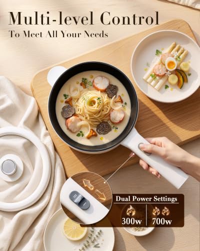 Image of Dezin 2L Hot Pot Electric, Non-Stick Electric Pan, 700W Adjustable Power